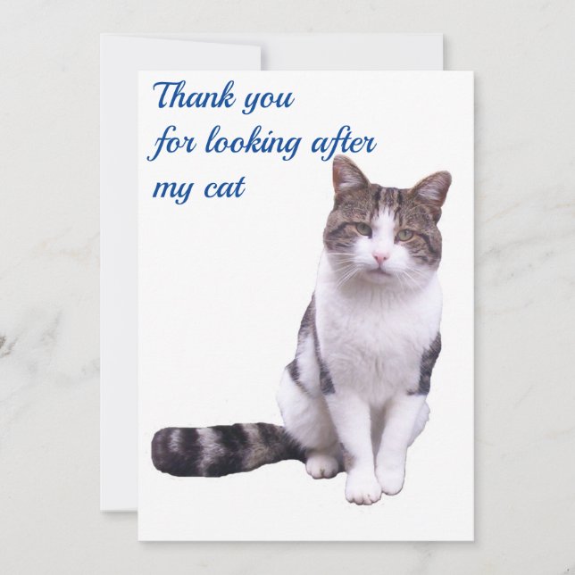 Thank you for looking after my cat card (Front)