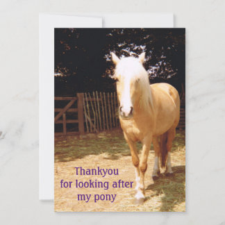 Thank you for looking after my pony card