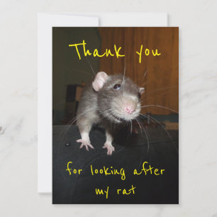 Thank you for looking after my rat card