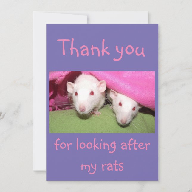 Thank you for looking after my rats card (Front)