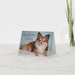 Thank You For Looking After Our Pet Card