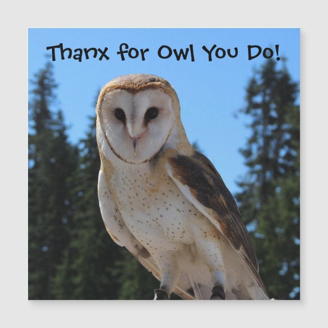 Thank You for Owl You Do - Barn Owl Photo Magnetic (Front)