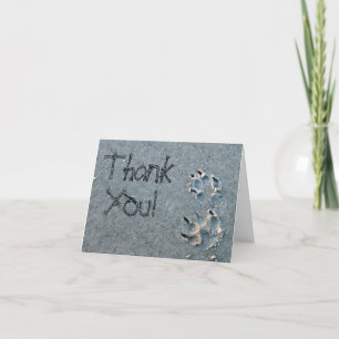 Thank You For Pet Sitting Card