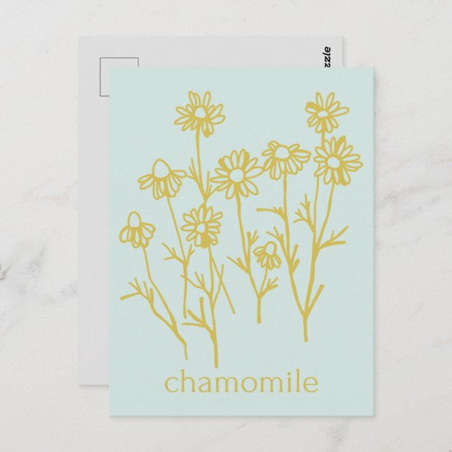 Thank You For Supporting My Business Chamomile Postcard (Front/Back)