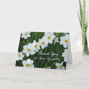Thank You for Sympathy, Narcissus Flowers Card