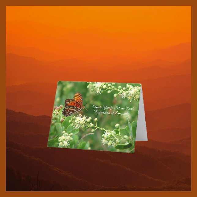 Thank You for Sympathy, Orange Butterfly (Creator Uploaded)