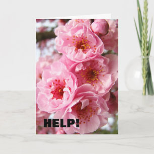 Thank You for the HELP! Greeting Cards Blossoms