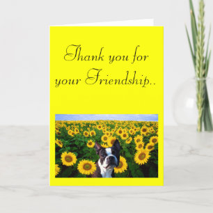 Thank you for your friendship Boston Terrier card