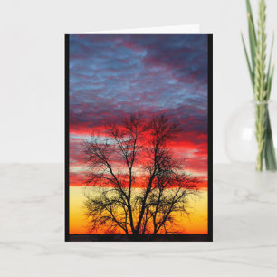 Thank You For Your Service To Our Country