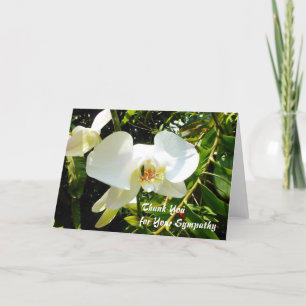Thank You for Your Sympathy Card - White Orchid