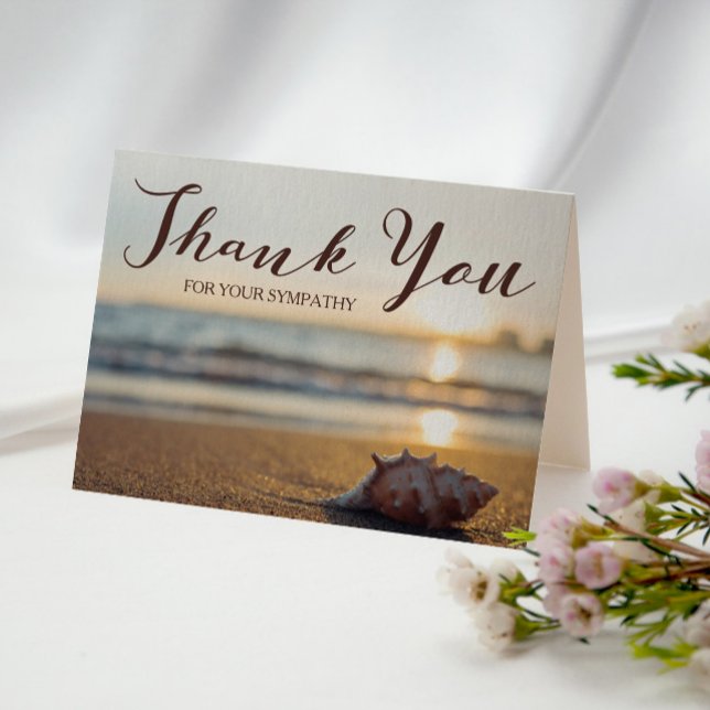 Thank You For Your Sympathy | Conch on a Beach (Creator Uploaded)