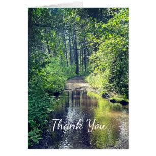 Thank You Forest Lake Wilderness Peaceful Scene