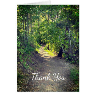 Thank You Forest Trail Wilderness Peaceful Scene