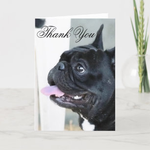 Thank You French Bulldog dog greeting card