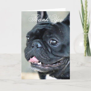Thank You French Bulldog dog greeting card