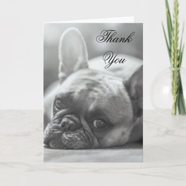 Thank You French Bulldog dog greeting card (Front)