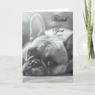Thank You French Bulldog dog greeting card