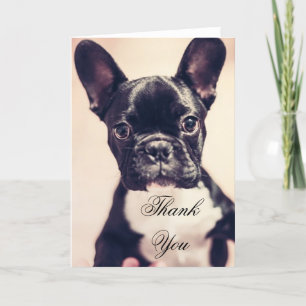 Thank You French Bulldog dog greeting card