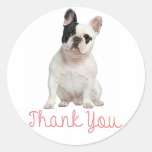 Thank You French Bulldog Puppy Dog Sticker
