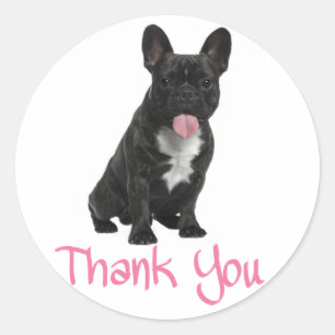 Thank You French Bulldog Puppy Dog Sticker