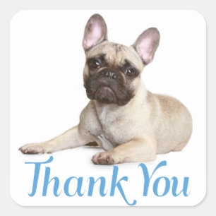 Thank You French Bulldog Puppy Dog  Sticker
