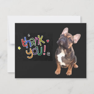 Thank you French Bulldogge postcard