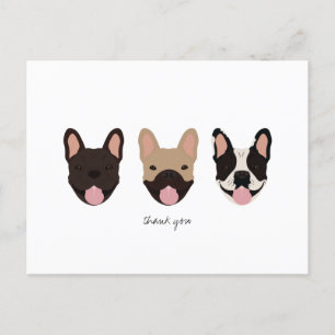 Thank You French Bulldogs  Postcard