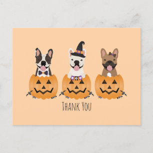 Thank You French Bulldogs Pumpkin Postcard
