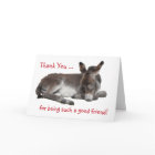 Thank You Friend Donkey