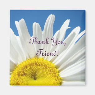 Thank You Friend! magnet White Daisy Flowers