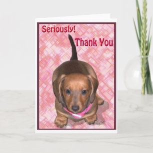 Thank You from A little Dachshund Puppy Card