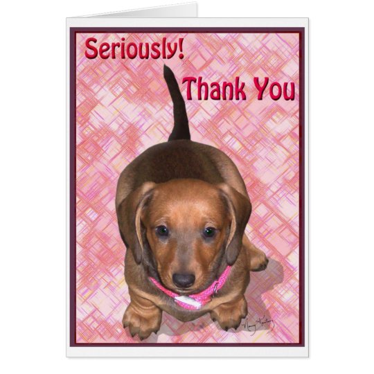 Thank You from A little Dachshund Puppy Card