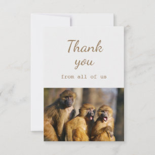Thank You From All of Us Monkeys Animal Fun