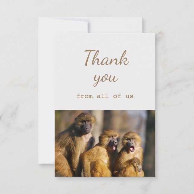 Thank You From All of Us Monkeys Animal Fun Card (Front)