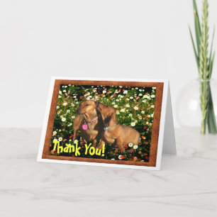 Thank You! From one Dachshund to another.......... Thank You Card
