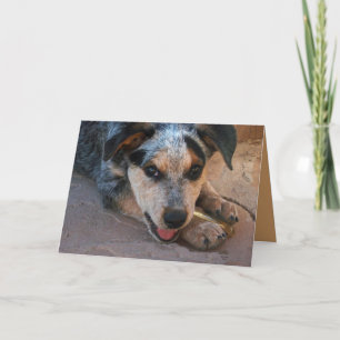 Thank you from the Heart - Dog Lover