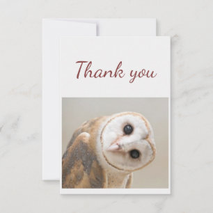  Thank You Fun Curious Barn Owl Bird Nature Art Card