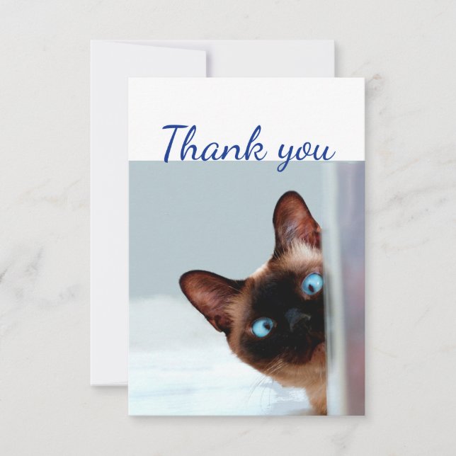 Thank You Fun Curious Peeking Cat Kitten Animal Card (Front)