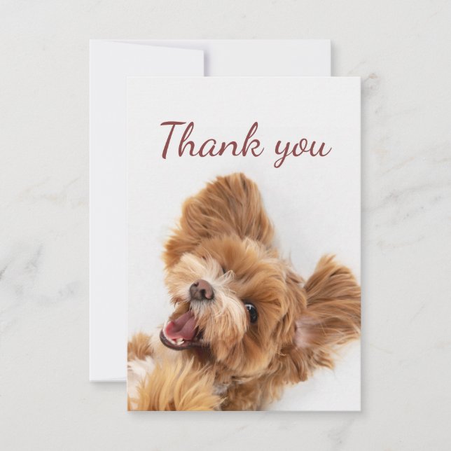  Thank You Fun Floofy Happy Puppy Dog Card (Front)