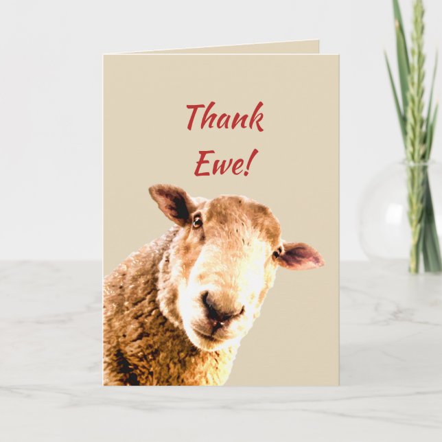 Thank You Funny Sheep Animal Humour Card (Front)