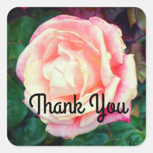 Thank You Gemini Rose #1 Stickers