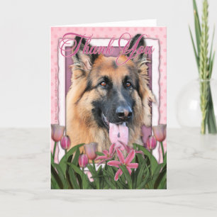 Thank You - German Shepherd - Chance