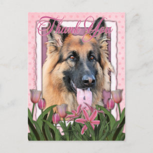 Thank You - German Shepherd - Chance Postcard