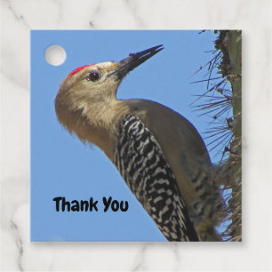 Thank You Gila Woodpecker Photo Bird Appreciation Favour Tags
