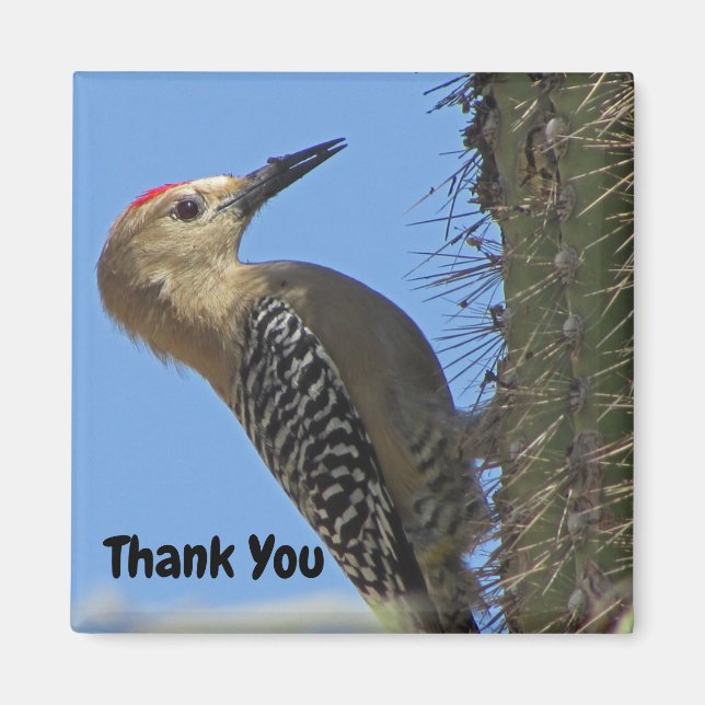 Thank You Gila Woodpecker Photo Southwest Bird Magnet (Front)