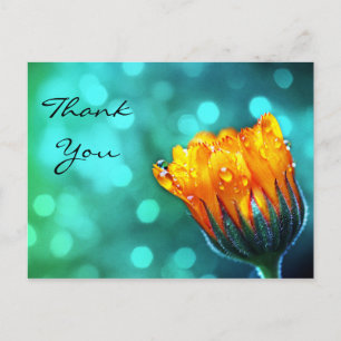 Thank You, Golden Marigold on Teal Bokeh Postcard