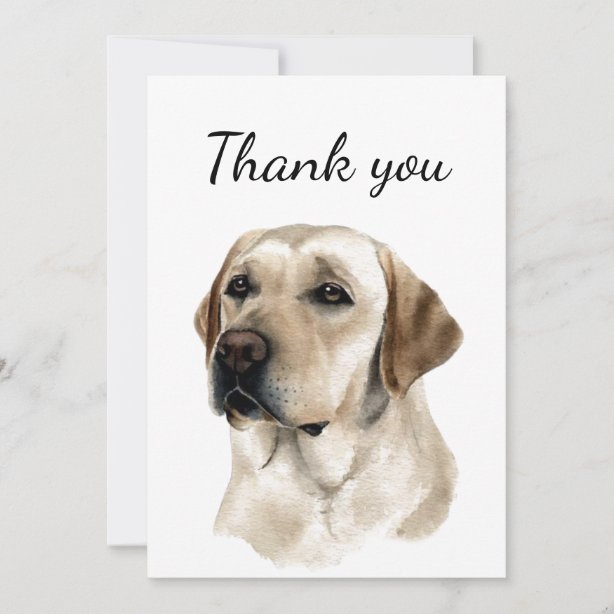 Golden Retriever Thank You Cards Zazzle UK
