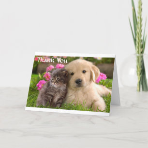 Thank  You Golden Retriever Puppy & Kitten  Card