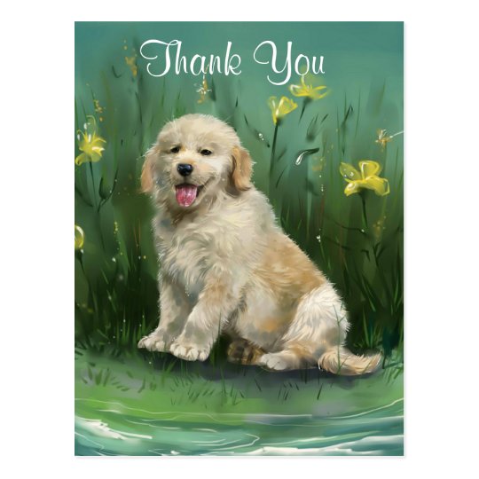 Thank You Golden Retriever Puppy Postcard Zazzle.co.uk