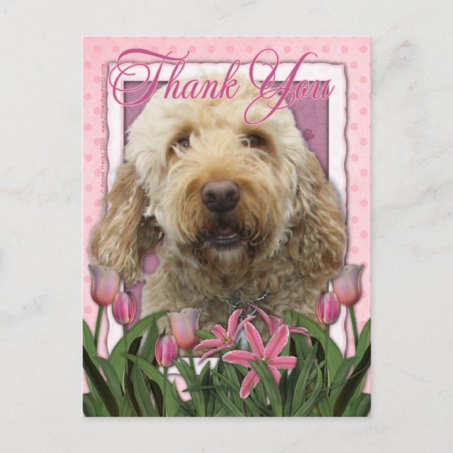 Thank You - Goldendoodle Postcard (Front)